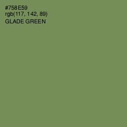 #758E59 - Glade Green Color Image
